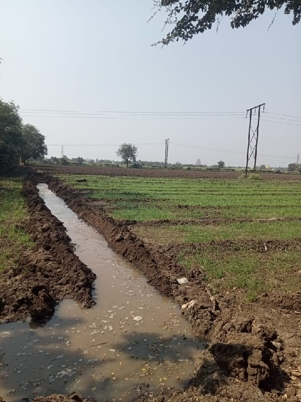 જમીન લેવા અથવા વેશવા માટે મળો