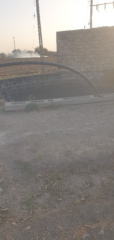 મોટા ગુંદા જમીન