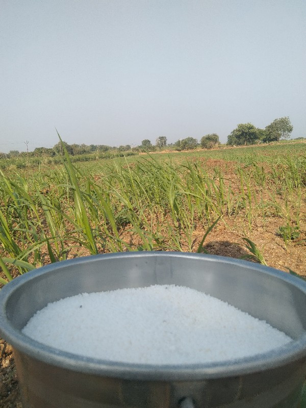 थंबनेल 3