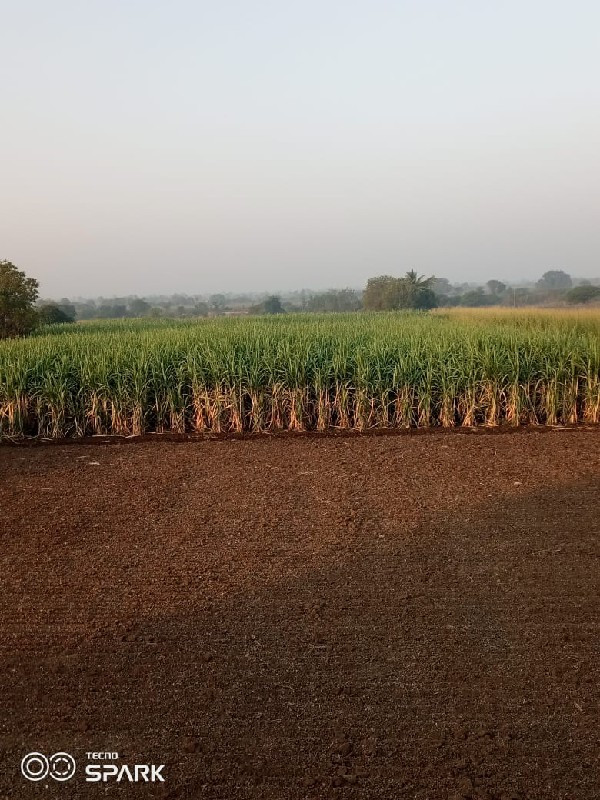 थंबनेल 3