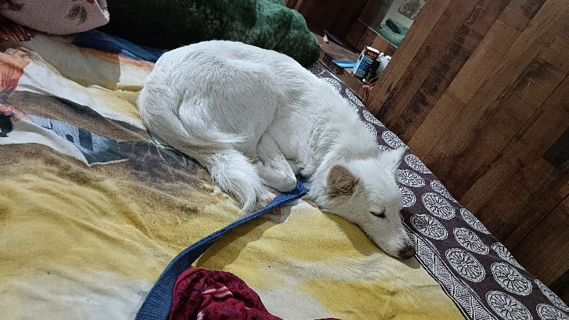 થંબનેલ 3