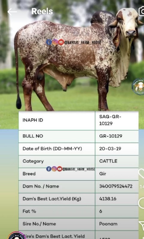 थंबनेल 5