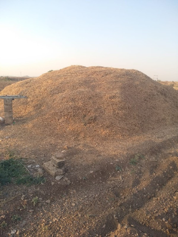 જીવીશ નૉ ભુકૉ ૮ વીઘા નૉ છૅ