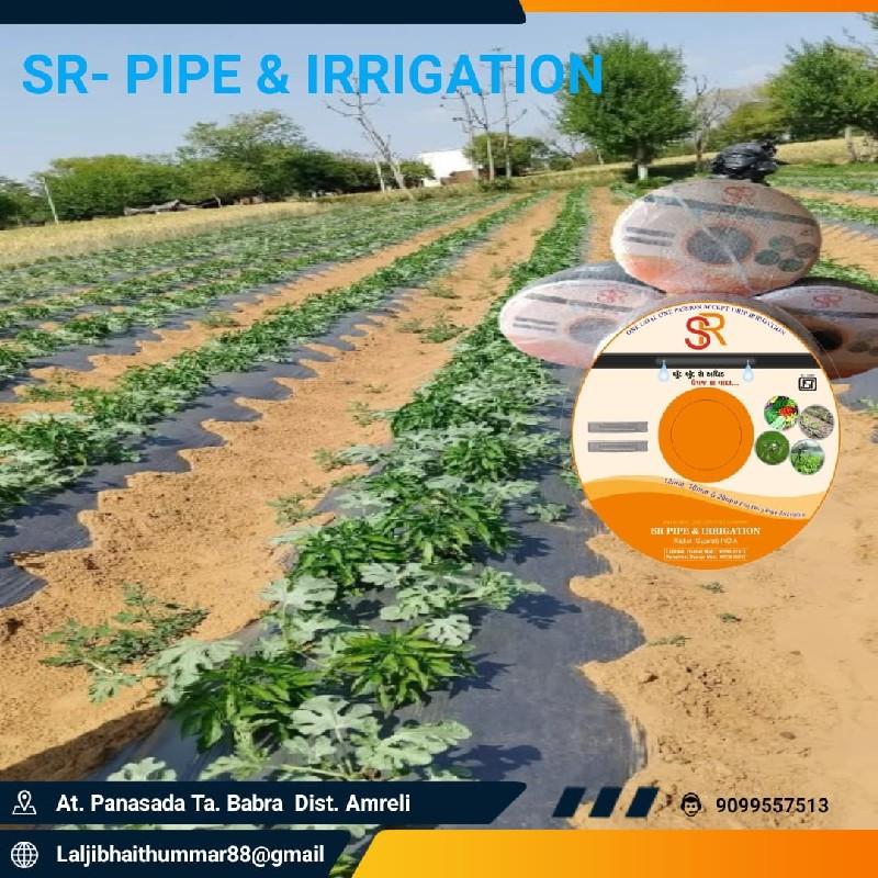 थंबनेल 4