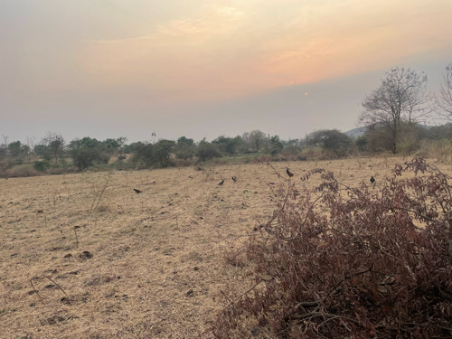 થંબનેલ 2