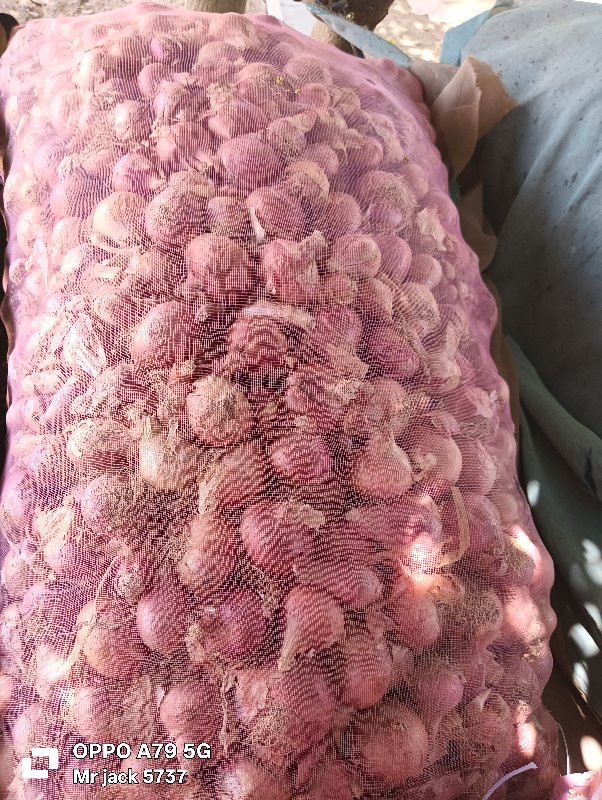 ડુંગળી વેચવાની છે