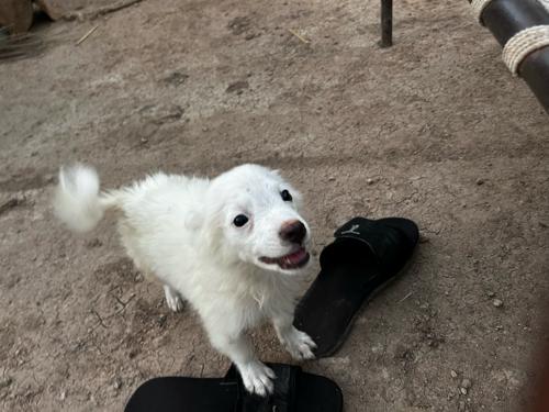 थंबनेल 2