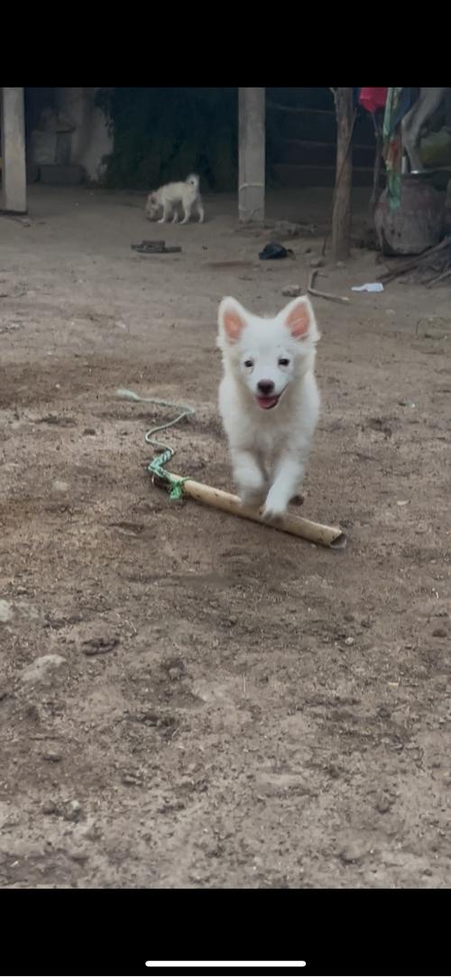 3 છે એક મેલ 2 ફીમેલ દયદેવાનાછે