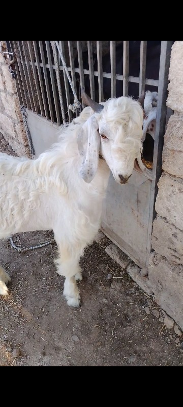 थंबनेल 2