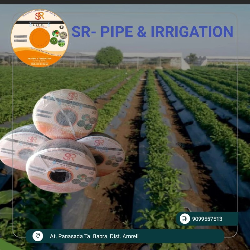 થંબનેલ 4