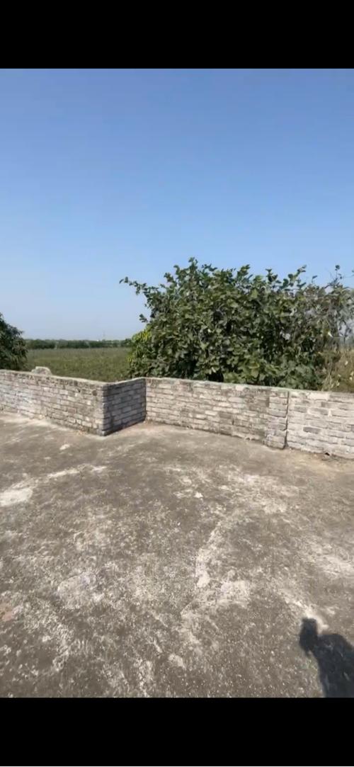 5.5 વીઘા વરતેજ માં જમીન વેચવાની છે