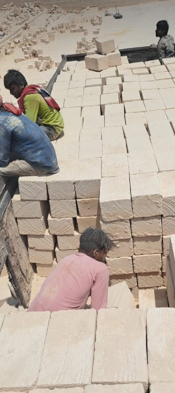 પોરબંદર રાતડી