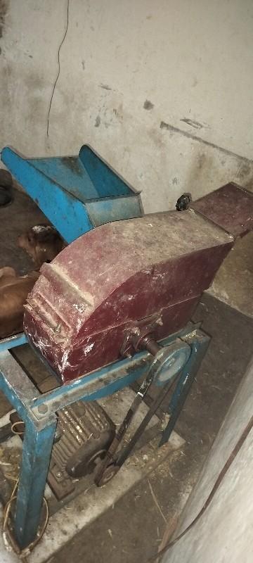 થંબનેલ 3