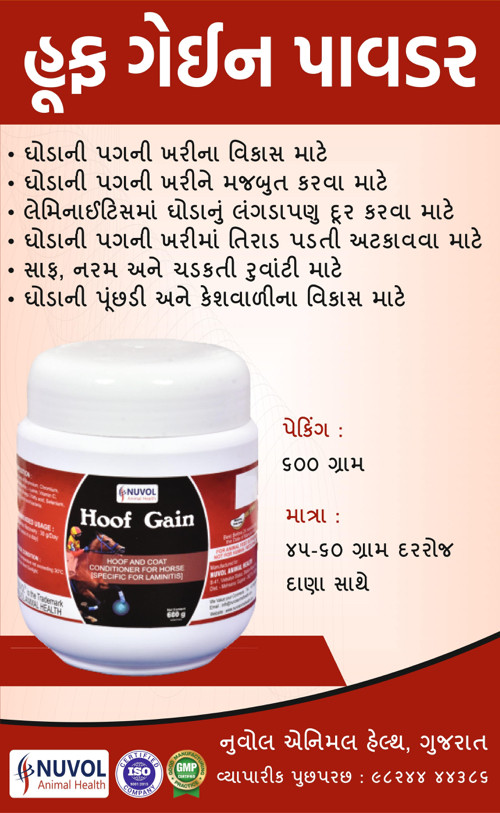 હૂફ ગેઈન પાવડર
Hoof Gain Powder - Unique Hoof Supplement for Horse