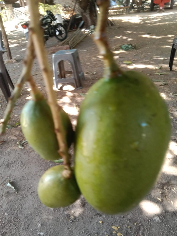 थंबनेल 2