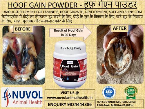 थंबनेल 4