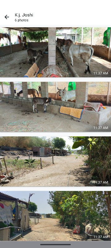 ભાડે આપવાની છે. જગ્યા