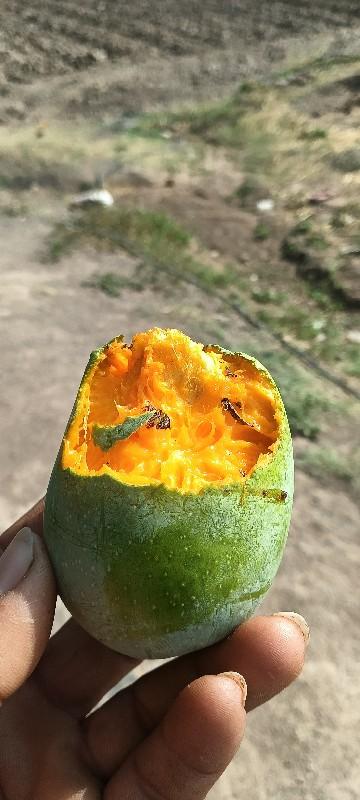 થંબનેલ 3