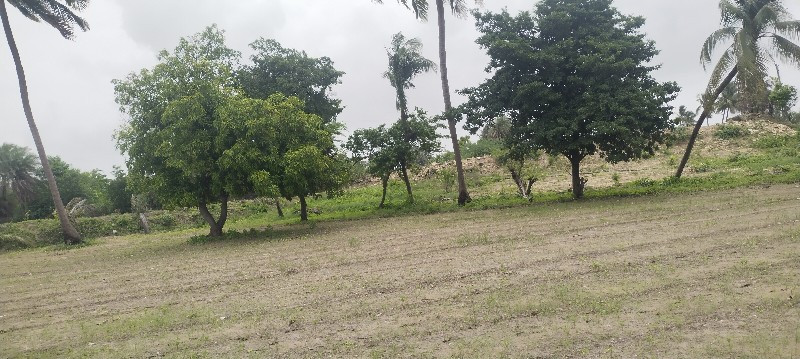 જમીન વેચવાની છે