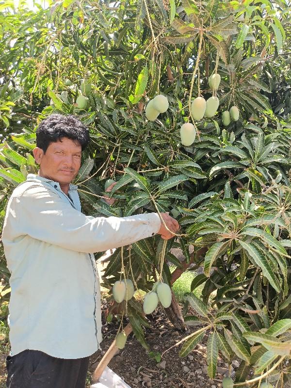 થંબનેલ 3