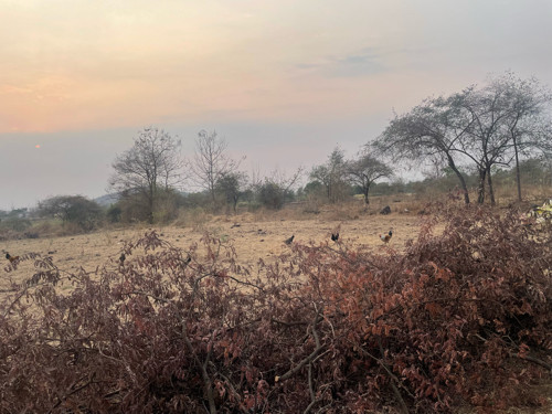 થંબનેલ 3