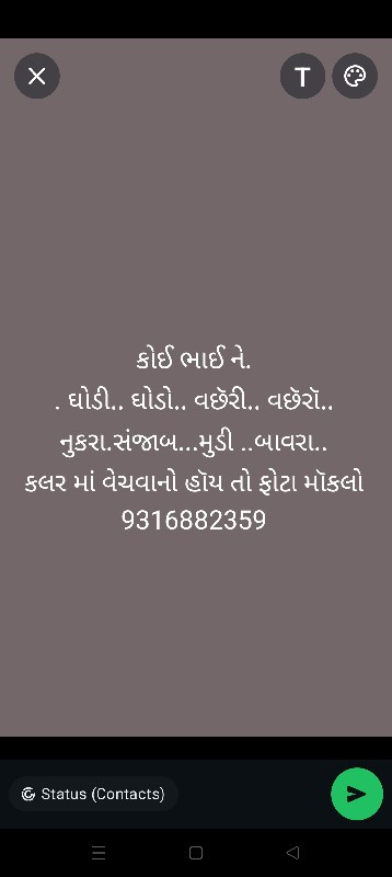 ઘોડી ઘોડો.વછેરી.વછેરો