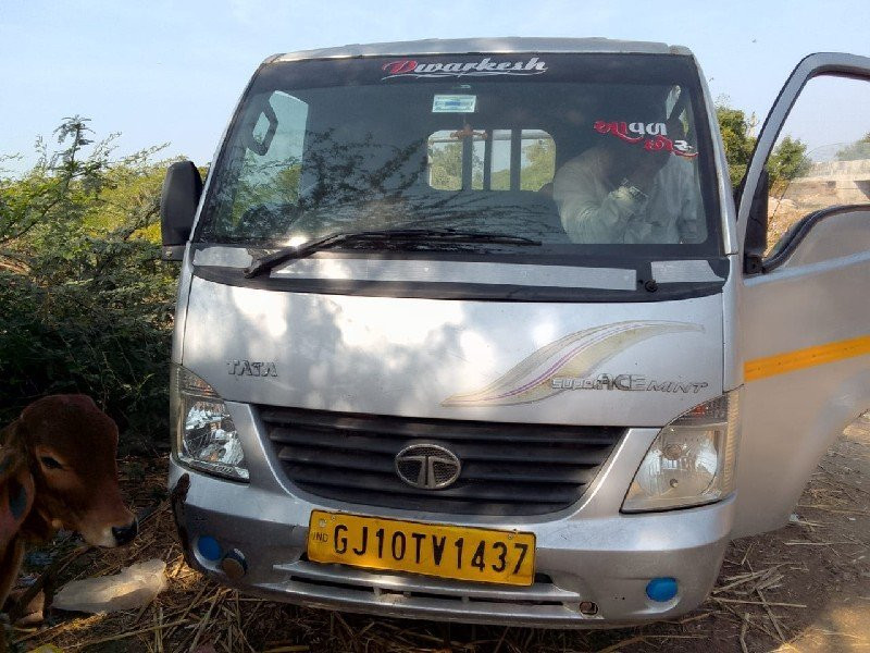 થંબનેલ 2