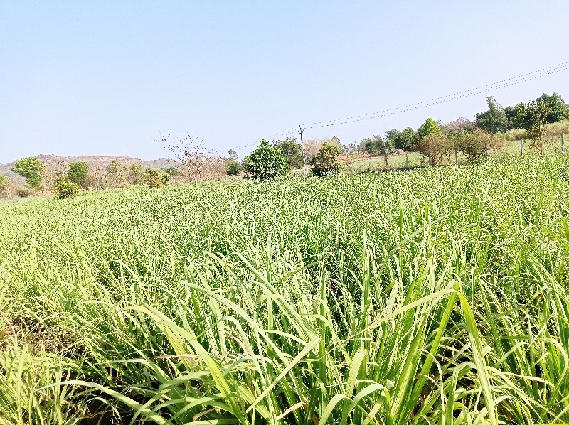 થંબનેલ 2