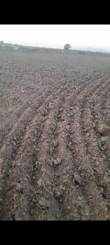 આ ખેતર વેચવાનુ છે
6.5 વિઘા છે