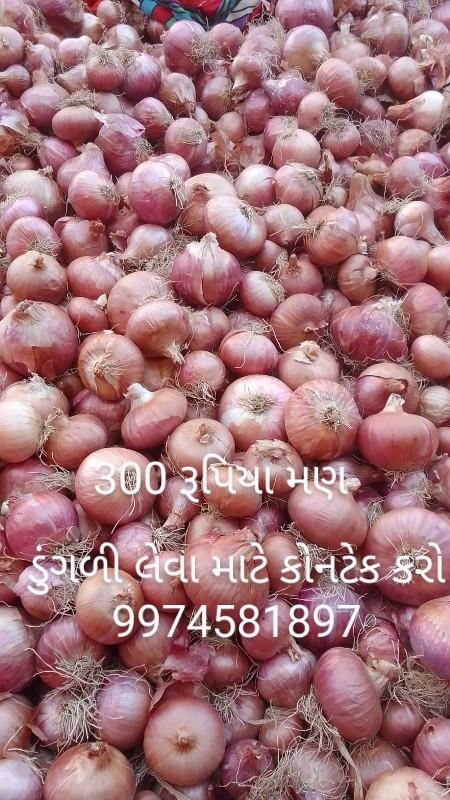 ડુંગળી લેવા માટે કોનટક કરો