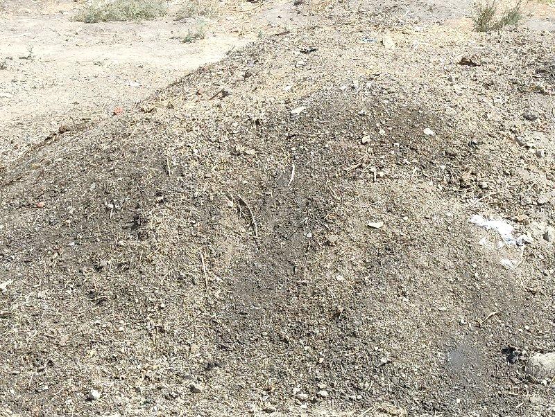 દેશી ખાતર ફુલ જવાબ દારી વાળું