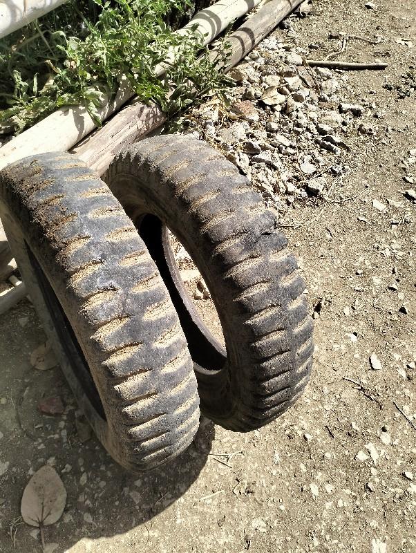 થંબનેલ 3