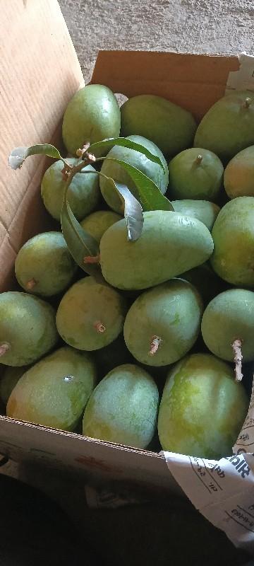 થંબનેલ 2