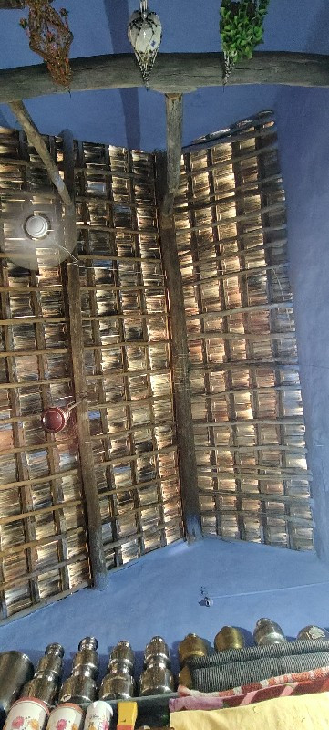 થંબનેલ 2