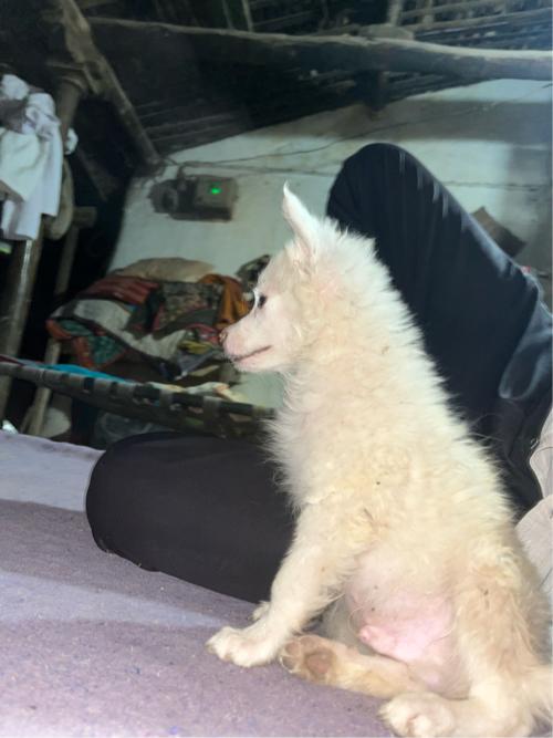 थंबनेल 3