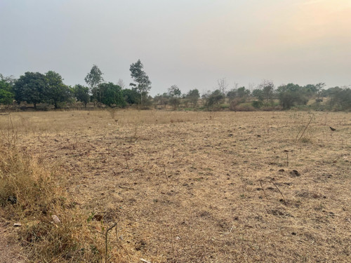 7 Bhiga jamin vechvani Che 400000 per bhigha kheti kayak