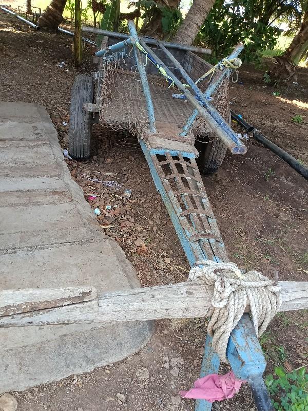 થંબનેલ 2