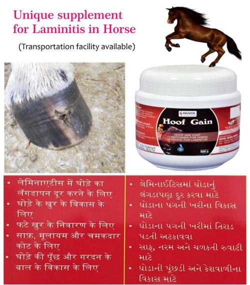 થંબનેલ 4