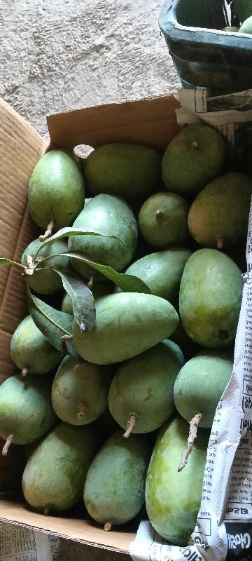 ધારી આ કેરી વેચાવશે