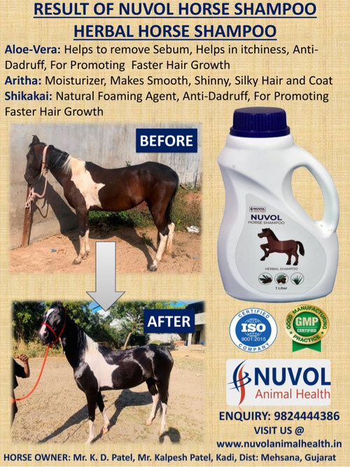 થંબનેલ 4