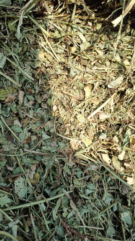 માંડવીના ભુકા નું વેચાણ ચાલુ છે