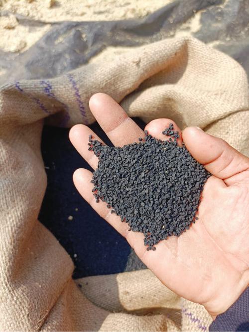 ઈલોરા ચાઇના કિંગ
વરસાદ નું
ખેડૂત નું પોતાનું જવાબદારી વાળું