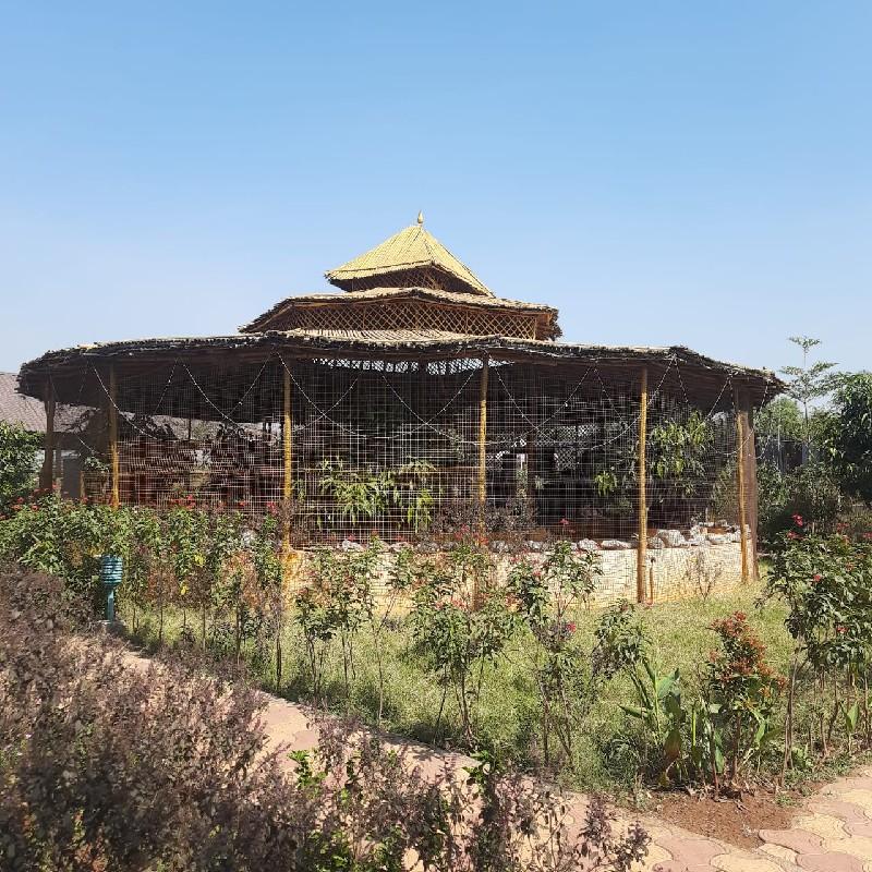 थंबनेल 4