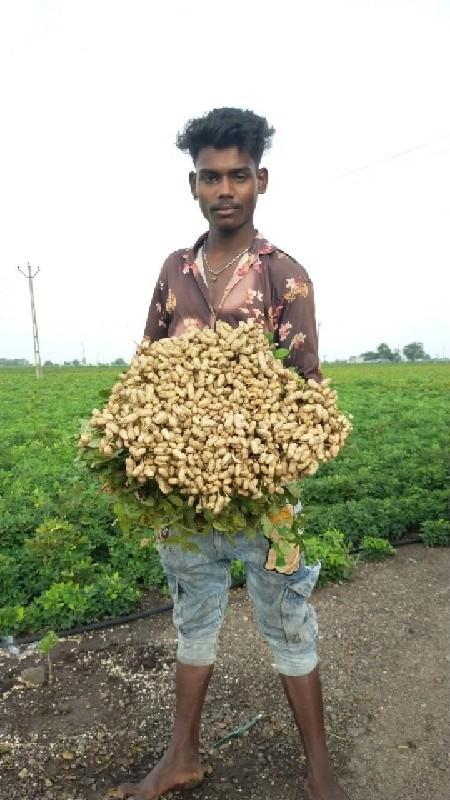 थंबनेल 3