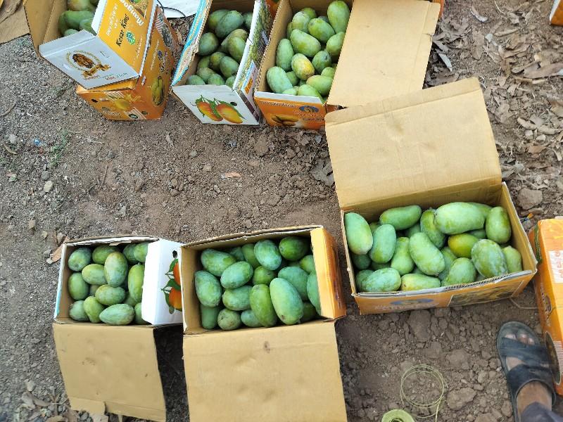 થંબનેલ 3