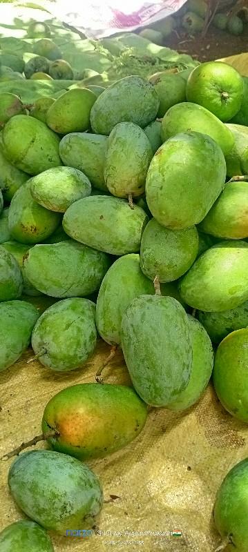 થંબનેલ 3