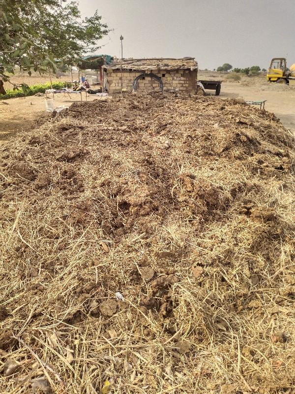 થંબનેલ 2