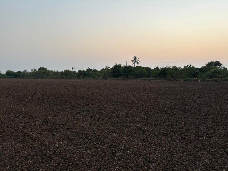 41 ગુઠા જમીન વેચવાની છે.