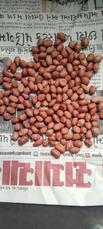 મગફળી નુ 37 નબર બિયારણ વેચવાનું છે