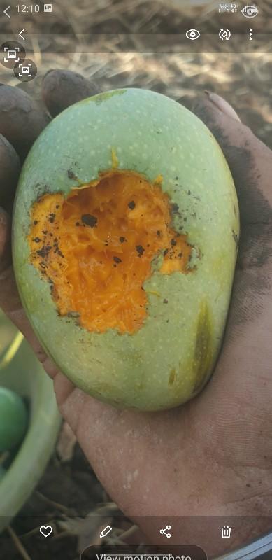 Khokababu Kesar scary